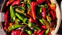 Chef-Guided New Mexican Lunch Immersion