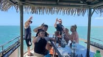 1,5h Tiki Tour with Unlimited Alcoholic Drinks, Clearwater Beach