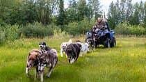 Meet 70 Huskies and Enjoy a short ATV Tour with the Huskies