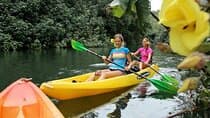Secret Falls Kayak and Hike in Kauai