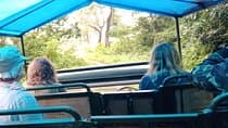 ספארי בג'יפ (4-5 שעות, משותף) בתוך הפארק הלאומי צ'יטוואן.
