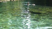  One day tours ometepe island