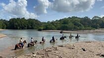 2h 1/2 HORSEBACK RIDING TOUR