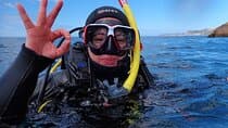 Lisbon: Try Scuba Diving in Arrabida Marine Reserve with photos
