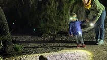 טיול חיות לילה מבוסלטון או דנסבורו