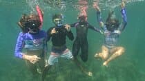 Snorkeling Tour on Macuco Island With Underwater Photos by Zimbros Ecotour