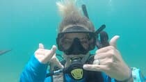 לגלות צלילת SCUBA