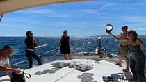 2-Hour Excursion in Search of Dolphins/ Includes Drink and Snacks