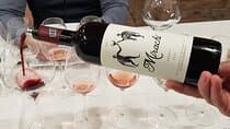 Day Tour: Visit Histria Ancient Citadel & Taste local wines