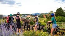 3-Hour E-Bike Sightseeing and Breweries Tour in Roanoke