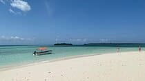 Zanzibar Dolphin Tour, Sandbank & Snorkeling at Pungume Island 