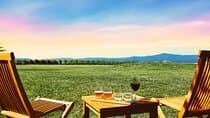 Epic Yarra Valley Wine Tour + Lunch, Chocolate & Gin/Beer Option