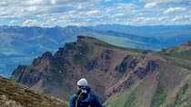 Denali Naturalist Walking Tour