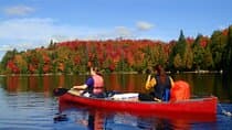 Algonquin Park 4-Day Deluxe Camping & Canoeing Adventure 