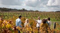 Hidden Gems: Full-Day Wine, Scones, Lunch and Local Produce Tour