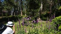 4 Hr Private Photography Tour from Kenmare – All Skill Levels