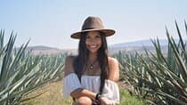 The Agave Experience Tequila Tour in Jalisco