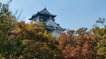 Ultimate Osaka Walking Tour (Castle, Dotonbori) GROUP OR PRIVATE