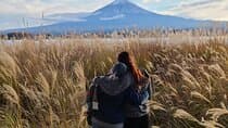 Mt Fuji & Kawaguchiko: A Local's Authentic English-Guided Journey