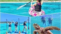 Okinawa Miyako Beach SUP or Canoe and sea turtle Snorkeling