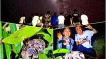 Okinawa Miyako Star Gazing & Subtropical Jungle Night Tour