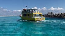 Dolphin & Sunset Cruises