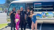 TAURANGA City & Scenic Sightseeing 2-hour Local Bus Tour