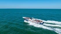 45-Minute Sea Rocket Speed Boat & Dolphin Cruise in Ocean City MD