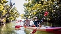 Half-Day Trip from Key West with Kayaking, Snorkeling & Sunset 