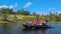 Zodiac Coastal Tour with Naturalist Guide: Lunenburg