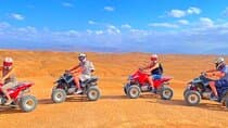 מדבר אגפאי: ארוחה + מופע עם אופנוע קוואד ורכיבת גמל בשקיעה