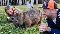 WILD Wombat and Kangaroo Day Tour, All Inclusive