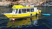 3h Boat Trip + Snorkeling in Puerto de Mogan