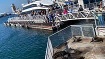 Robben Island Experience: Pre-Booked Ticket & Return Transfers