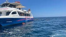 Swimming Tour by Gandía