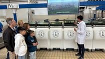 סיורי שמן זית וטעימות בפראנטואיו די מונטלצ'ינו