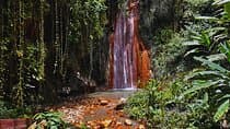 St Lucia Diamond Mineral and Mud Baths Plus Waterfall Adventure 