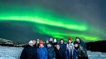 Tromsø: Northern Lights Chase Minibus Tour