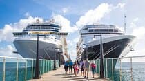 1-Day Jeju Island Tour For Cruise Passenger