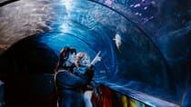 כרטיס כניסה לSEA LIFE וויימות