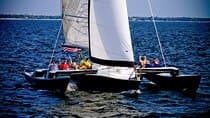Condor Sailing Fun, Relaxing Public Dolphin & Sightseeing Cruise
