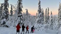 Levi: Snowshoeing adventure in the National Park