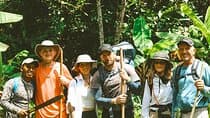 Coya Amazon Jungle Tour