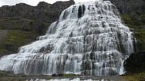 Small Group Tour Ísafjordur Dynjandi Waterfalls and Farm 