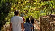  Douro Valley: Private Wine & Food Tour Away from Crowds
