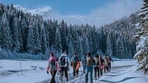 ש snowshoeing בדורמיטור, מונטנגרו