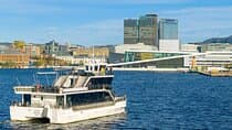 Guided Sightseeing Cruise on Oslofjord by Premium Silent Boat