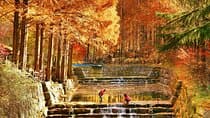 Jeonju Hanok Village Full-Day Tour: Jangtaesan Autumn Foliage