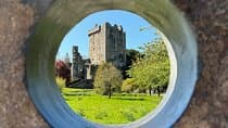 Blarney Castle, Kinsale & Cobh – Multi Award-Winning Private Tour