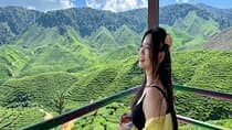 Cameron Highlands with Lunch Guided Day Tour (SIC/Shared Tour)